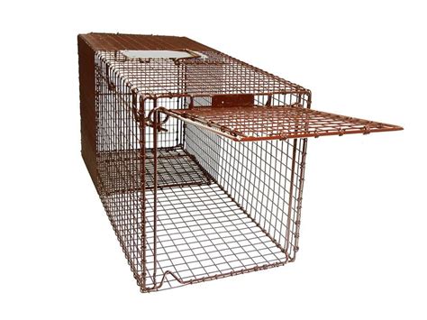 metal cat box trap|cat traps for feral cats.